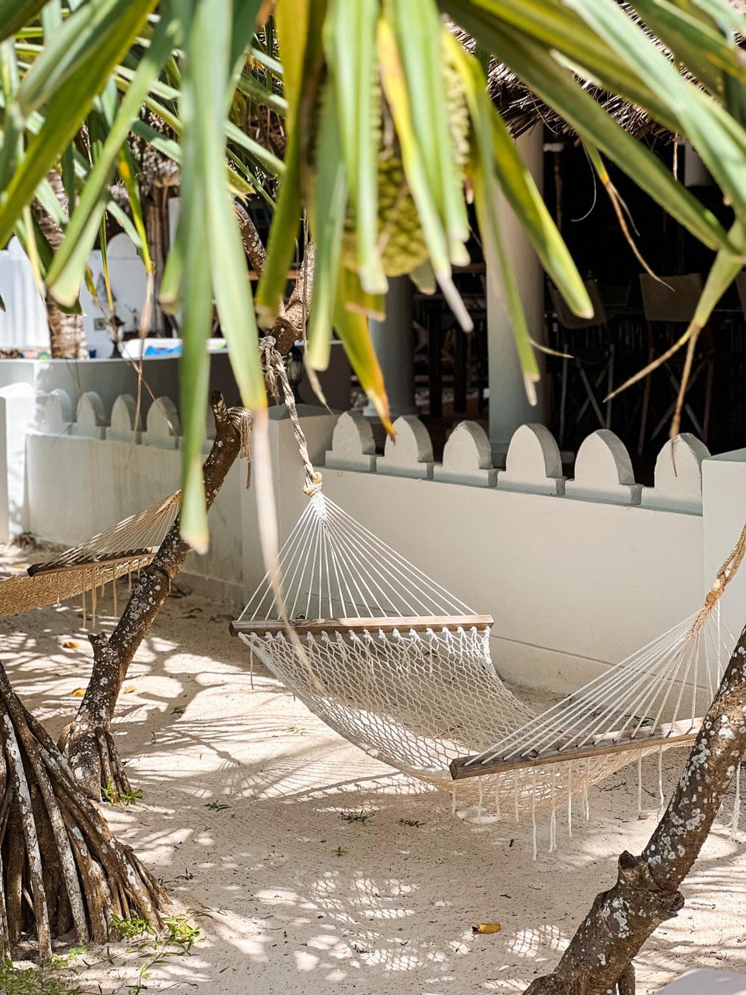 Zoi Retreat Zanzibar