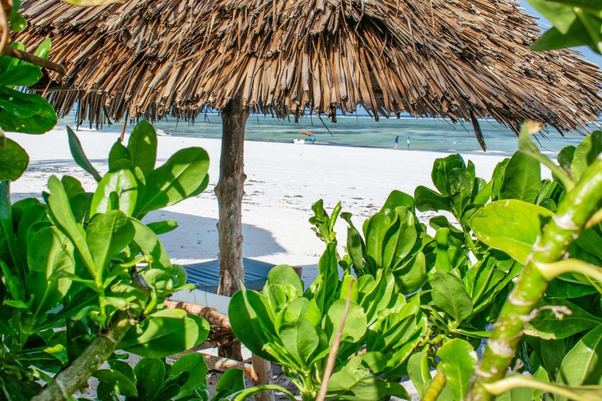 Zanzibar Retreat