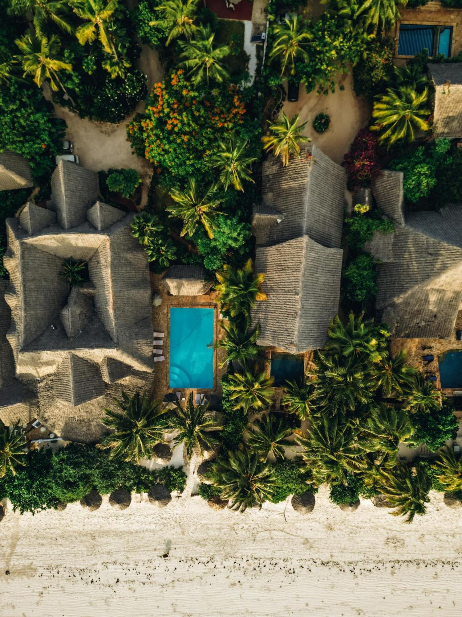 Szálloda Zoi Retreat Zanzibar 4*