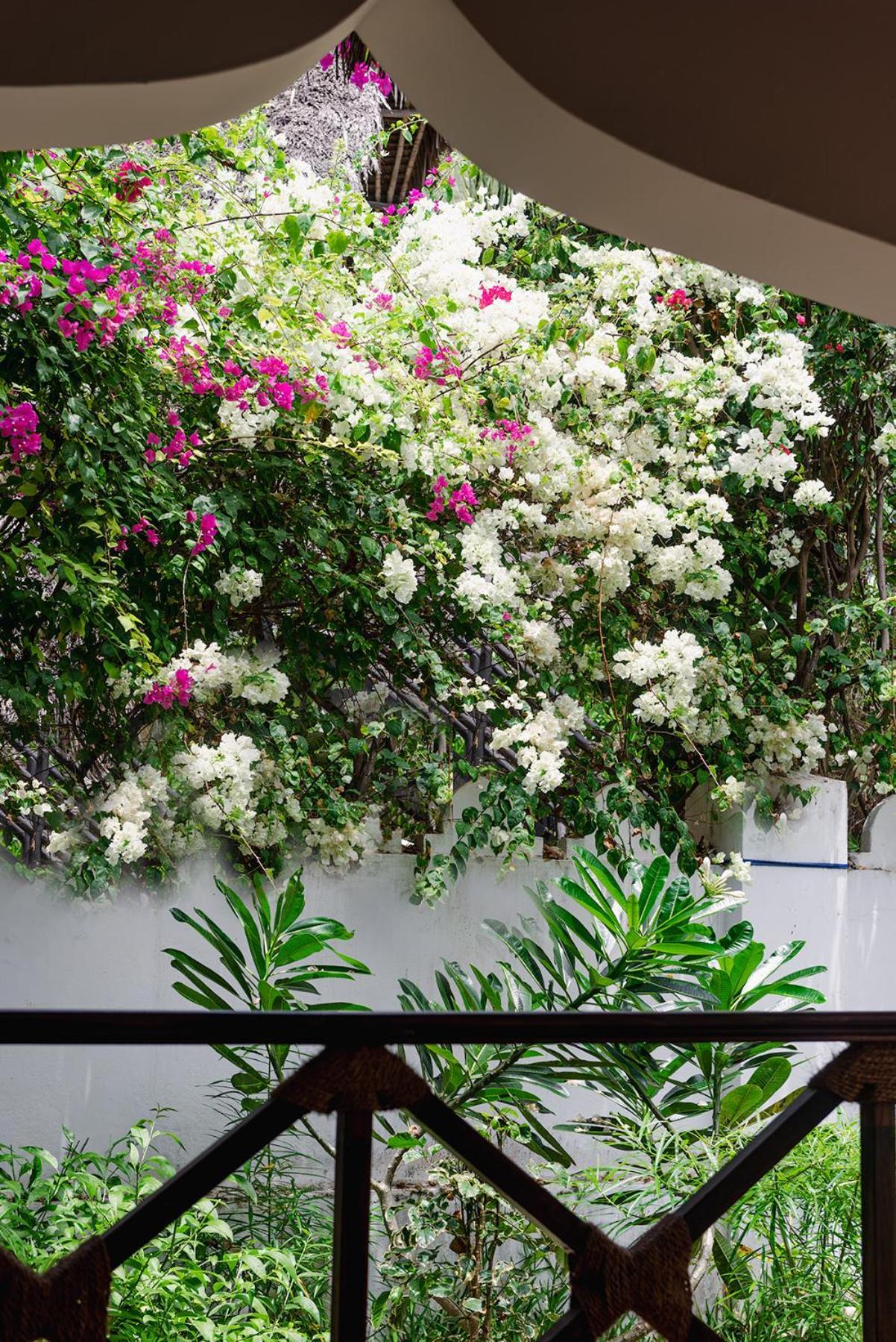 Zoi Retreat Zanzibar 4*