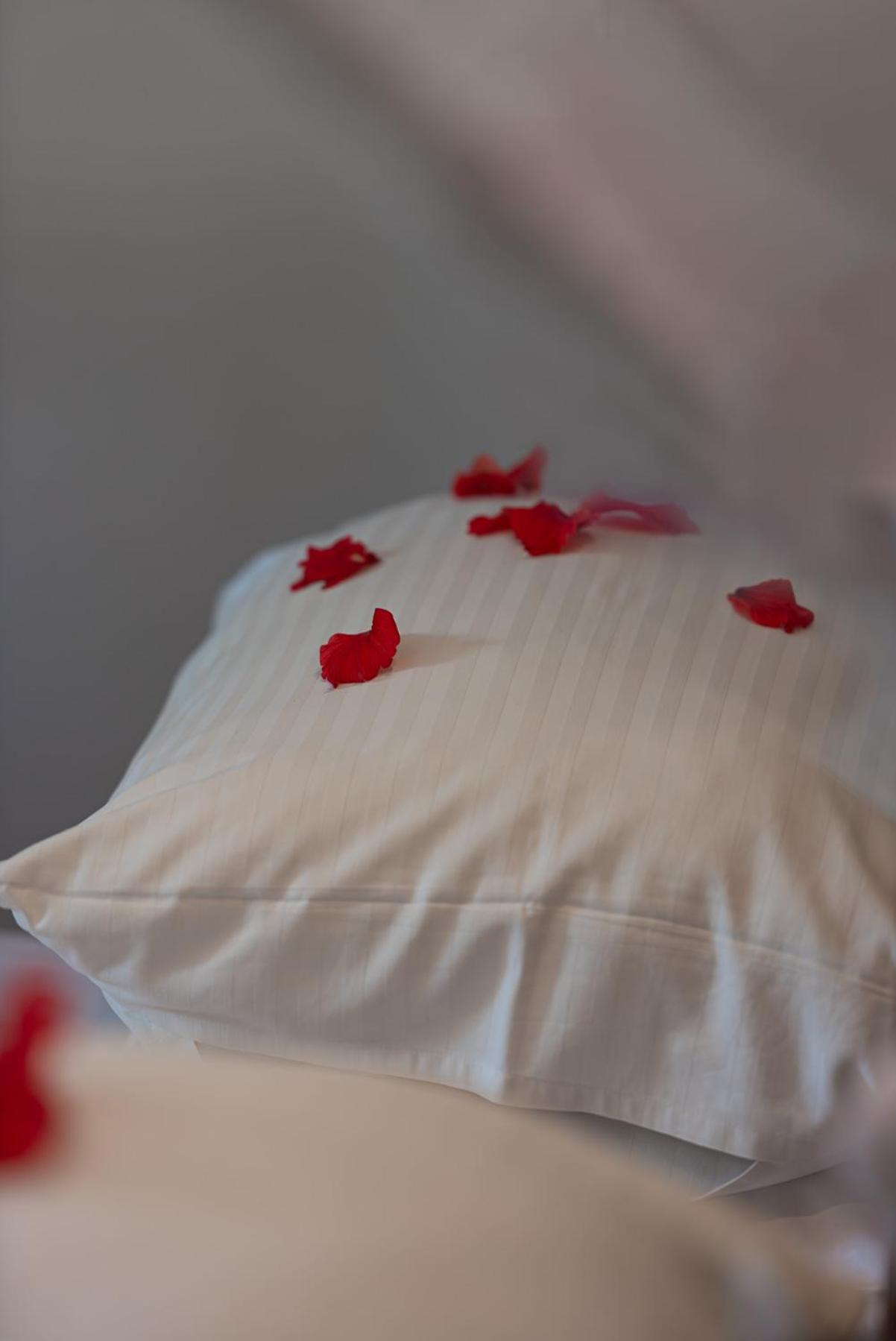 Szálloda Zoi Retreat Zanzibar 4*