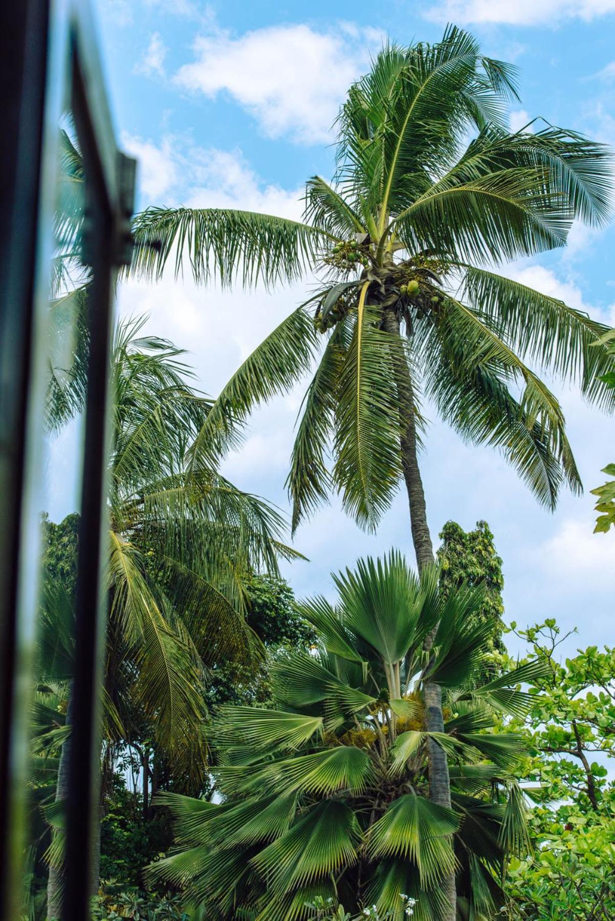 Zoi Retreat Zanzibar 4* Matemwe (Zanzibar)
